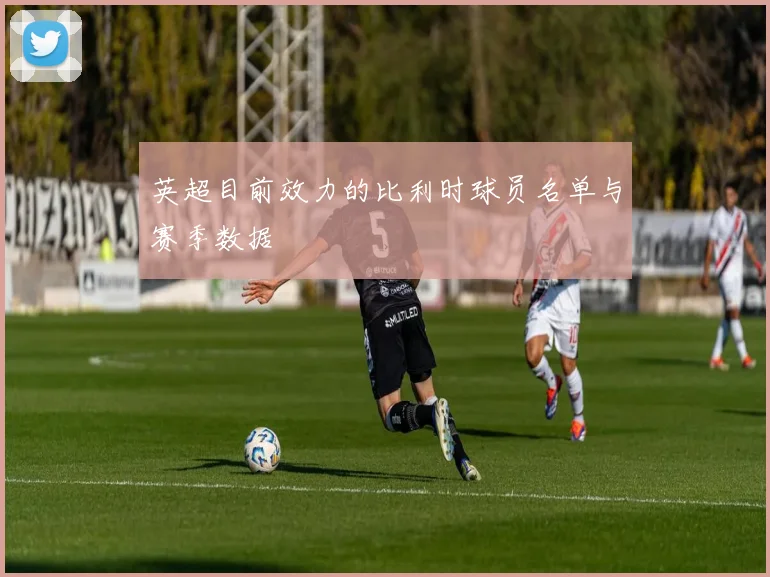 英超目前效力的比利时球员名单与赛季数据