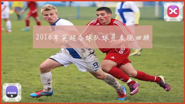 2016年英超各球队球员表现回顾