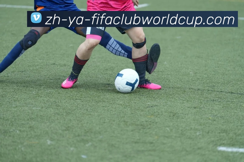 世界杯赛程平台生态图