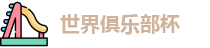 2025世界俱乐部杯